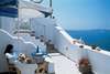 Theoxenia Hotel 